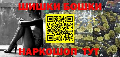 индика Лесосибирск