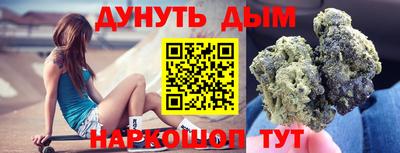 индика Лесосибирск
