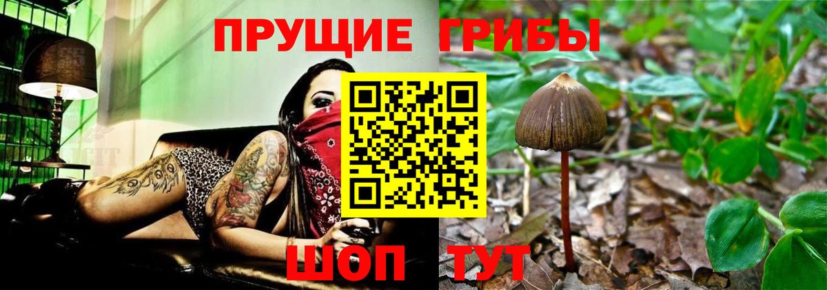 Псилоцибиновые грибы Magic Shrooms  Вход с VPN  Чита 